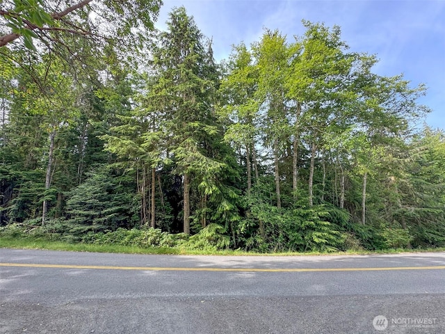 999 Largent Ln, Port Angeles, WA 98362 - photo 10