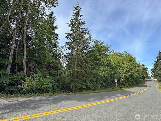 999 Largent Ln, Port Angeles, WA 98362 - photo 11