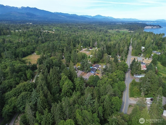999 Largent Ln, Port Angeles, WA 98362 - photo 17