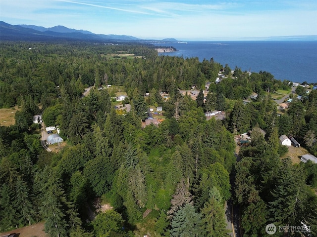 999 Largent Ln, Port Angeles, WA 98362 - photo 20
