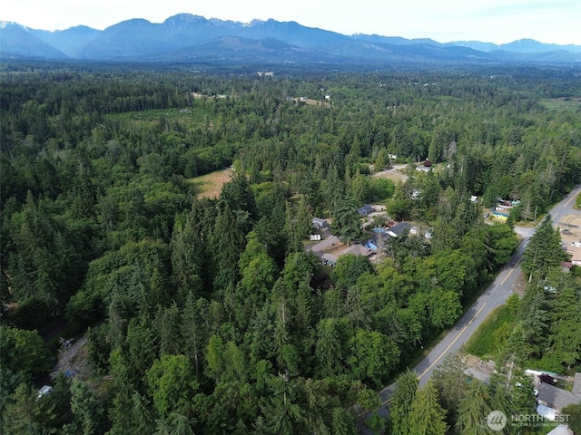 999 Largent Ln, Port Angeles, WA 98362 - photo 21