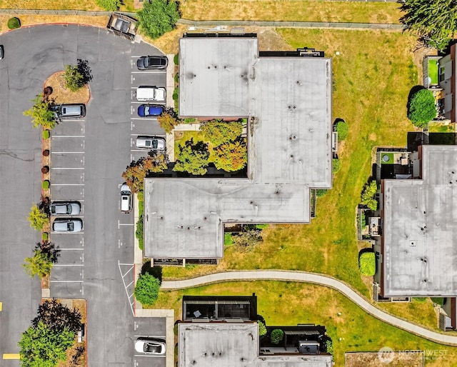 502 141st Ave SE Unit 45, Bellevue, WA 98007 - drone / aerial view
