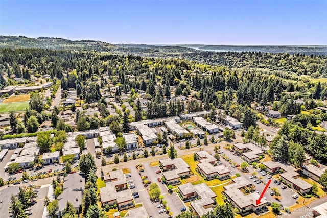 502 141st Ave SE Unit 45, Bellevue, WA 98007 - aerial view of a forest
