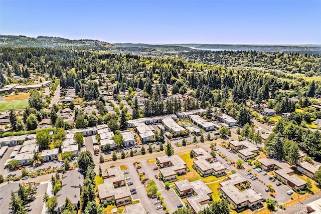 502 141st Ave SE Unit 45, Bellevue, WA 98007 - drone / aerial view of a forest