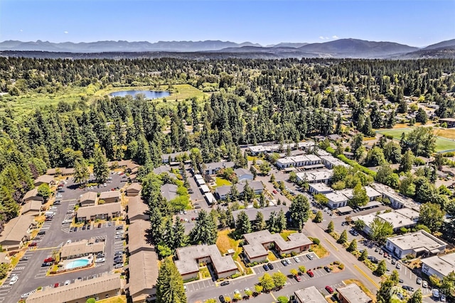 502 141st Ave SE Unit 45, Bellevue, WA 98007 - aerial view of residential area with a water and mountain view and a forest