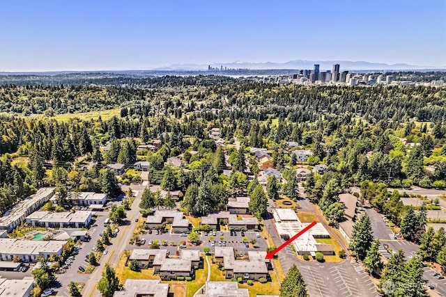 502 141st Ave SE Unit 45, Bellevue, WA 98007 - aerial view of a forest