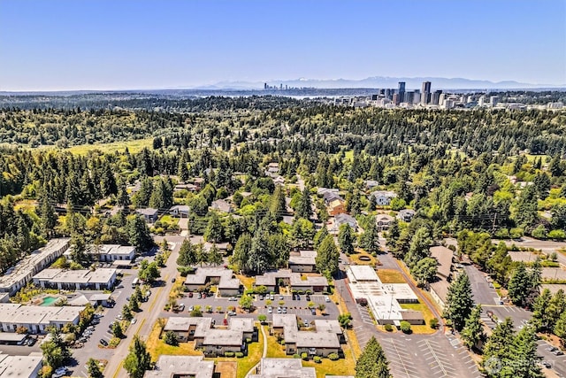 502 141st Ave SE Unit 45, Bellevue, WA 98007 - aerial view of a forest