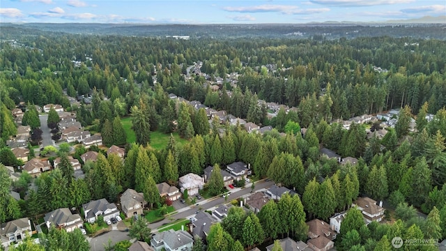 3223 156th Pl SE, Mill Creek, WA 98012 - photo 38