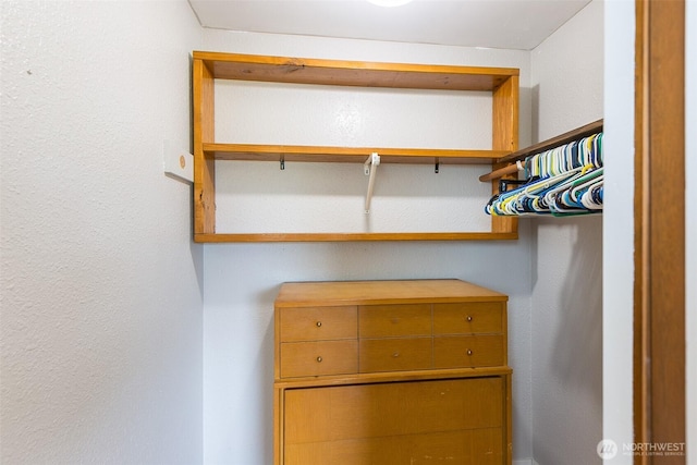 110 Victoria View St, Sequim, WA 98382 - view of spacious closet