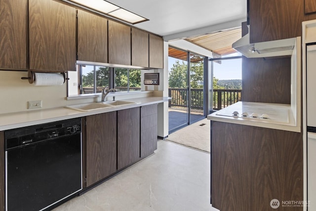 21030 6th Ave S, Des Moines, WA 98198 - kitchen with dishwasher, light countertops, and plenty of natural light