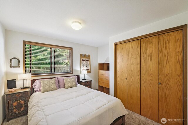 27523 SW Sandy Shores Dr, Vashon, WA 98070 - bedroom featuring a closet and carpet flooring