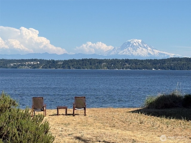 27523 SW Sandy Shores Dr, Vashon, WA 98070 - water view with a mountainous background and a forest