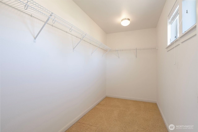 1326 SW 340th St, Federal Way, WA 98023 - walk in closet with light colored carpet