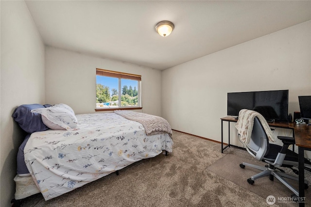 22625 94th St E, Buckley, WA 98321 - photo 22