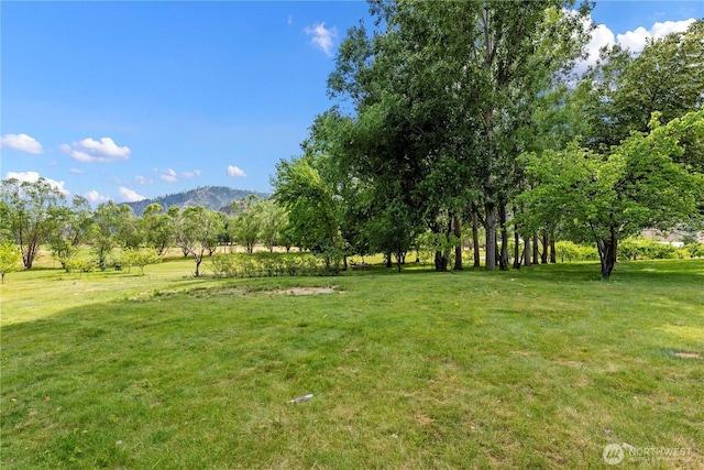 109 Rolling Rock Rd, Chelan, WA 98816 - photo 26