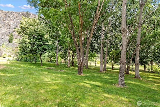 109 Rolling Rock Rd, Chelan, WA 98816 - photo 30