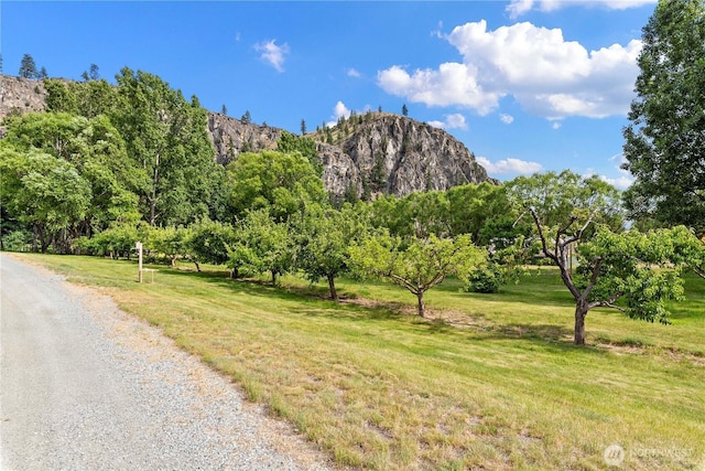 109 Rolling Rock Rd, Chelan, WA 98816 - photo 33