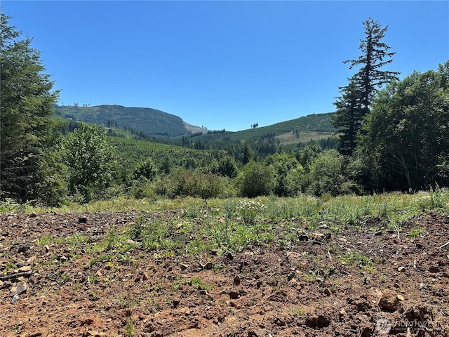 0 Kalama River Rd, Kalama, WA 98625 - photo 1
