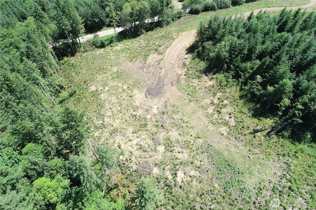 0 Kalama River Rd, Kalama, WA 98625 - photo 5