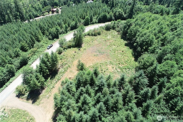 0 Kalama River Rd, Kalama, WA 98625 - photo 6
