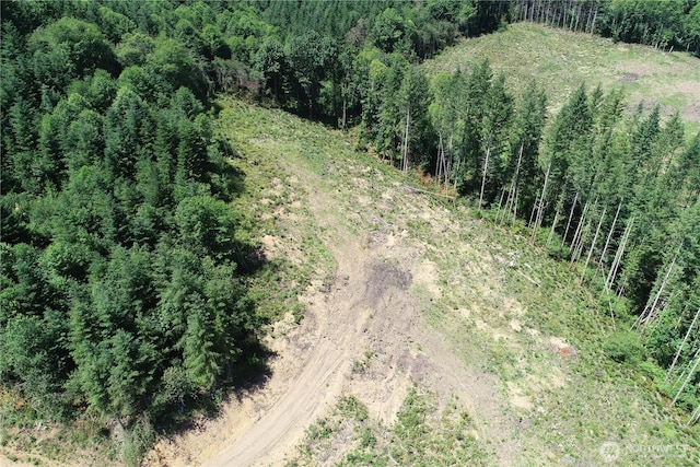 0 Kalama River Rd, Kalama, WA 98625 - photo 9