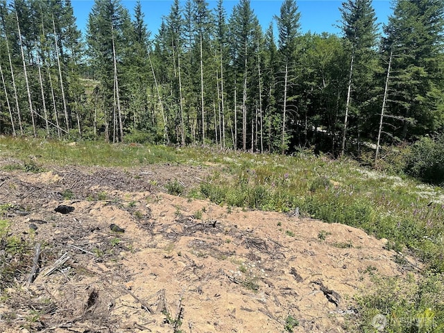 0 Kalama River Rd, Kalama, WA 98625 - photo 11
