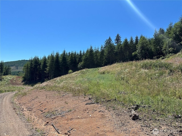 0 Kalama River Rd, Kalama, WA 98625 - photo 13