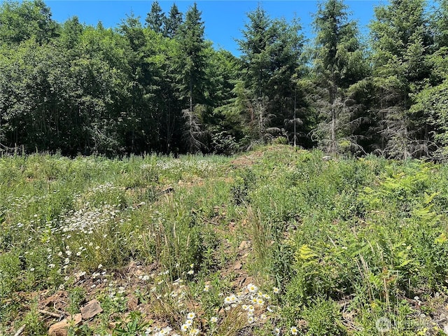0 Kalama River Rd, Kalama, WA 98625 - photo 14