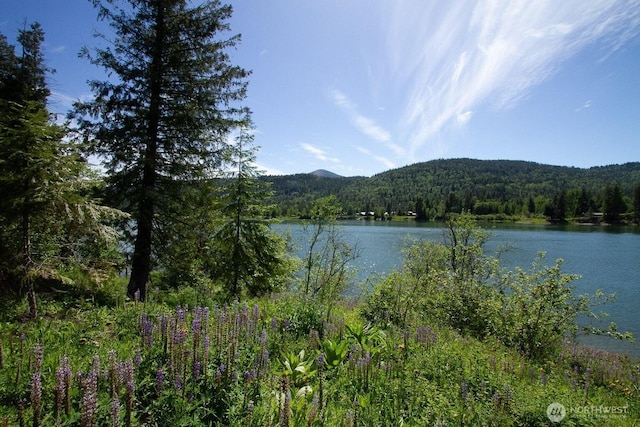 26561 Le Clerc Rd N, Ione, WA 99139 - photo 1