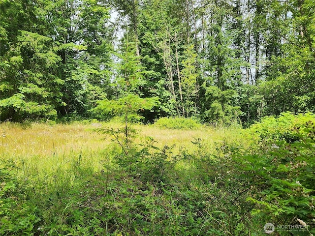 408APPROX 239th Ave NE, Sammamish, WA 98074 - photo 2