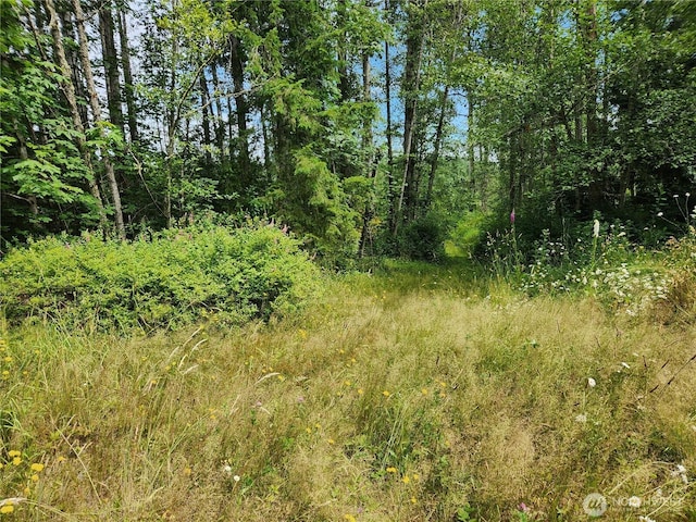 408APPROX 239th Ave NE, Sammamish, WA 98074 - photo 3