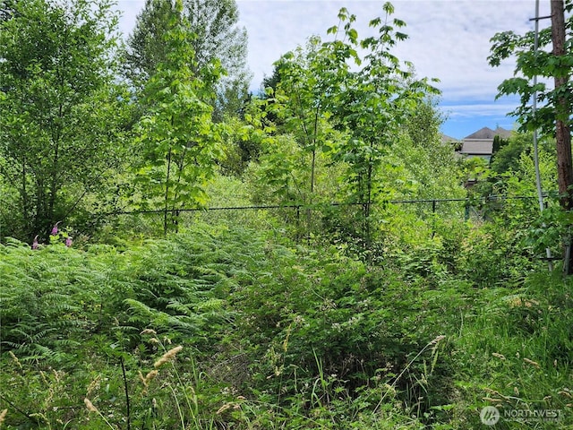 408APPROX 239th Ave NE, Sammamish, WA 98074 - photo 11