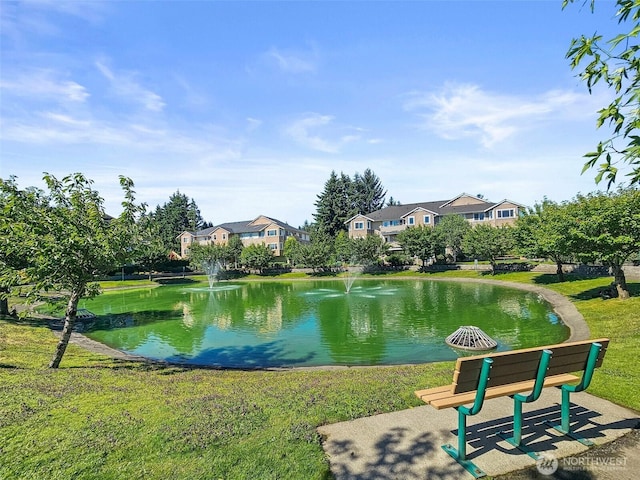 13207 97th Ave E Unit 301, Puyallup, WA 98373 - photo 19