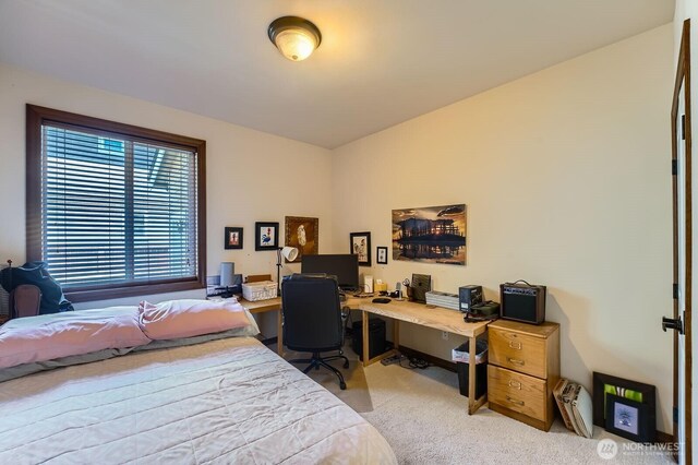 21305 62nd Street Ct E, Lake Tapps, WA 98391 - photo 13
