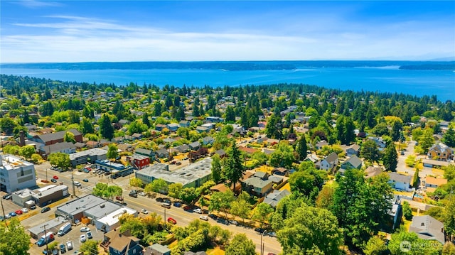 7343 35th SW, Seattle, WA 98126 - drone / aerial view of a large body of water