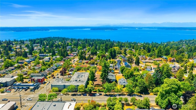 7343 35th SW, Seattle, WA 98126 - aerial view of a water and mountain view