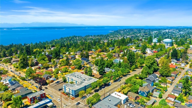 7343 35th SW, Seattle, WA 98126 - bird's eye view of a water and mountain view