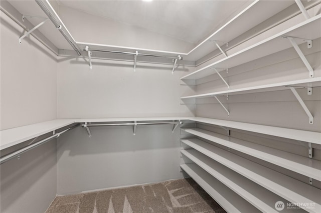 4502 223rd St SW, Mountlake Terrace, WA 98043 - spacious closet featuring carpet flooring