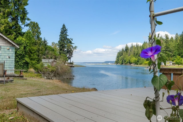 16617 Delano Rd SW, Lakebay, WA 98349 - photo 24