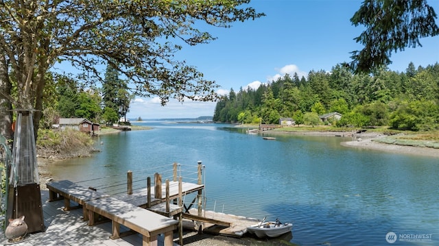 16617 Delano Rd SW, Lakebay, WA 98349 - photo 4