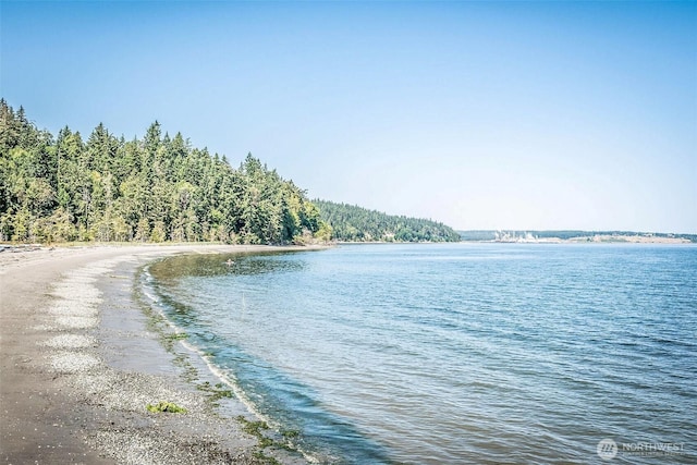 267 Foxfield Dr, Port Townsend, WA 98368 - photo 39