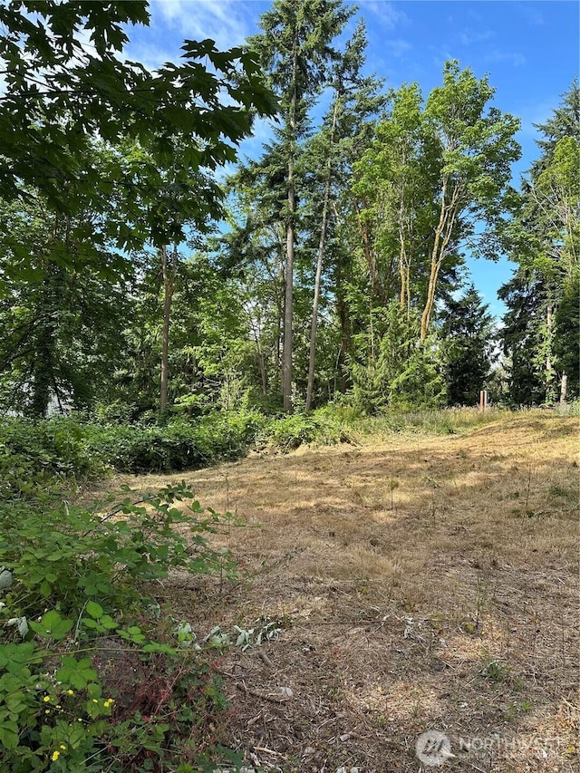 20594 Alder St NE, Indianola, WA 98342 - photo 1