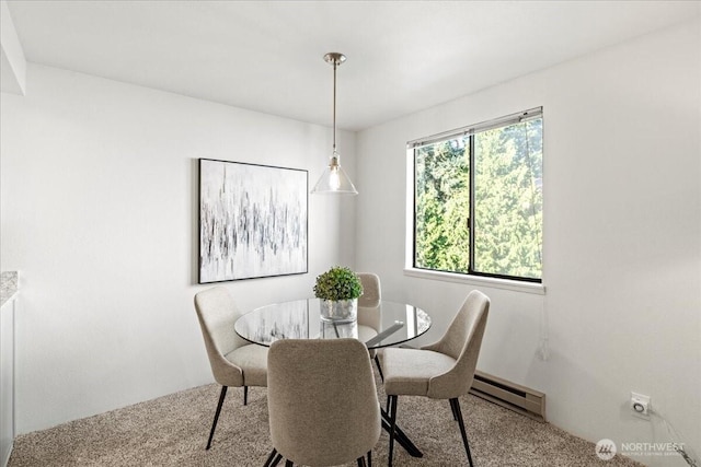 700 N 160th St Unit A316, Shoreline, WA 98133 - carpeted dining area with a baseboard radiator