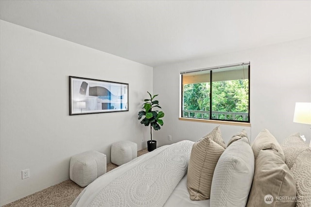 700 N 160th St Unit A316, Shoreline, WA 98133 - bedroom with carpet