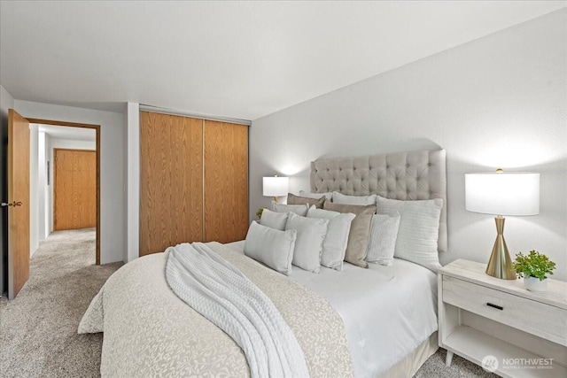 700 N 160th St Unit A316, Shoreline, WA 98133 - bedroom featuring carpet flooring and a closet