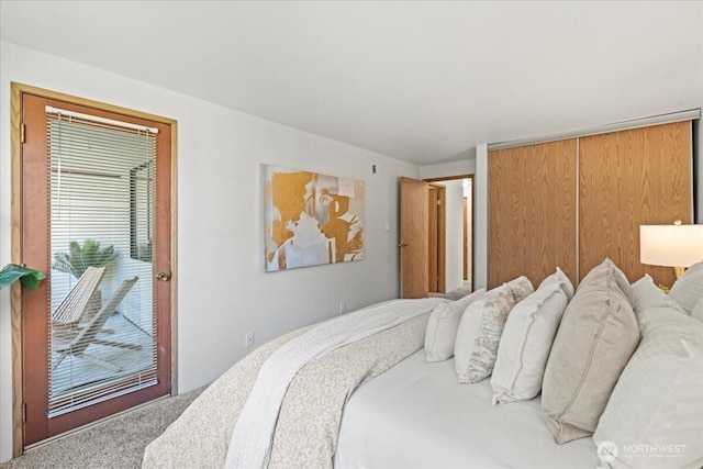 700 N 160th St Unit A316, Shoreline, WA 98133 - bedroom featuring access to outside, carpet, and a closet