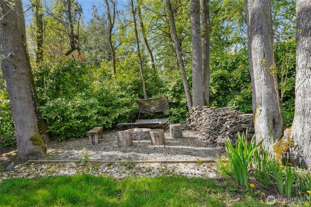 7826 SE 24th St, Mercer Island, WA 98040 - view of yard