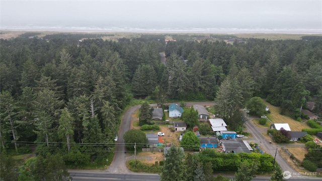 1411 249th Pl, Ocean Park, WA 98640 - photo 6
