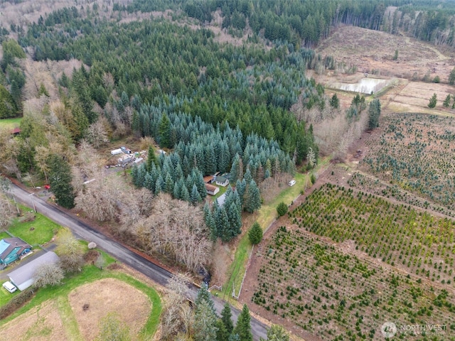 186 Van Hoesen Rd Unit 25, Onalaska, WA 98570 - photo 5