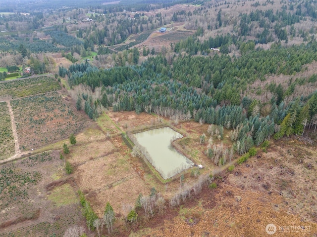 186 Van Hoesen Rd Unit 25, Onalaska, WA 98570 - photo 1